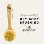 Picture of Body Brush